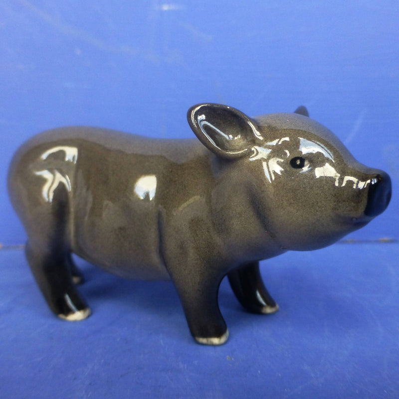 Royal Doulton Vietnamese Pot Bellied Piglet DA213