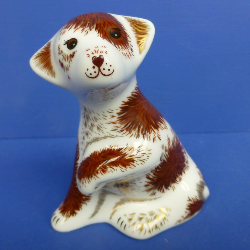 Royal Crown Derby Paperweight - Bailey Puppy (Boxed)