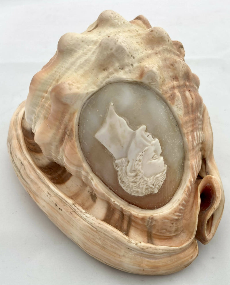 Victorian Large Conch Shell Cameo of The Duke of Wellington.