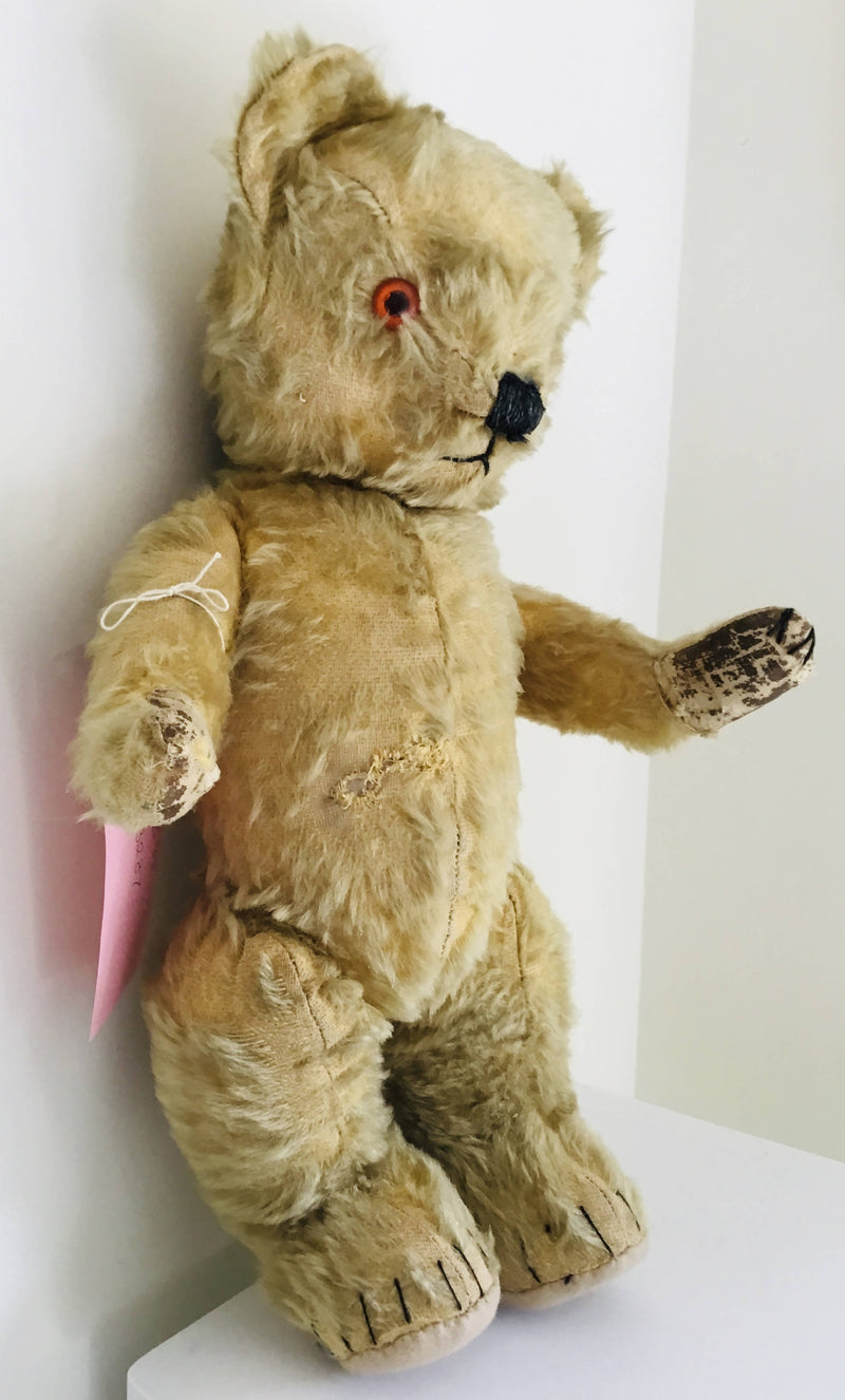 Old teddy bear deals shop