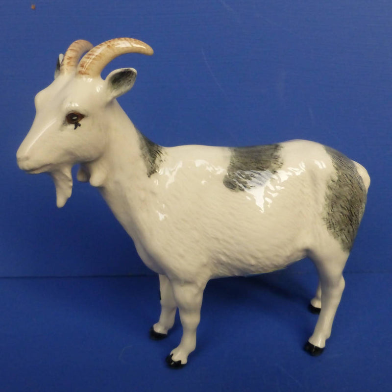 Beswick Rare Breeds Nigerian Pot-Bellied Pygmy Goat Model No G223 (Boxed)