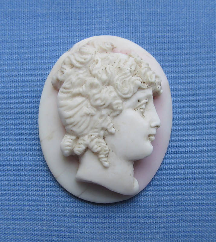 Unmounted Shell Cameo/Head Profile Classical Lady