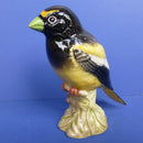 Beswick Bird - Evening Grosbeak Model No 2190