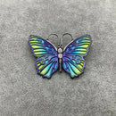 Silver and neochrome titanium butterfly brooch