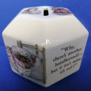 Wedgwood Beatrix Potter Mrs Tiggywinkle Money Box