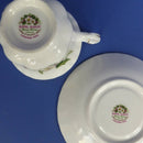 Royal Albert Flower Of The Month Teacup and Saucer - December