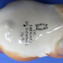 Beswick Guernsey Bull Model No 1451