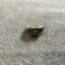 1920’s silver enamel locket