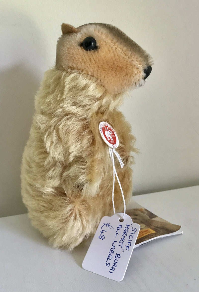 Steiff Marmot Squirrel. With button.