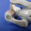 Royal Doulton Character Dog With Slipper HN2654