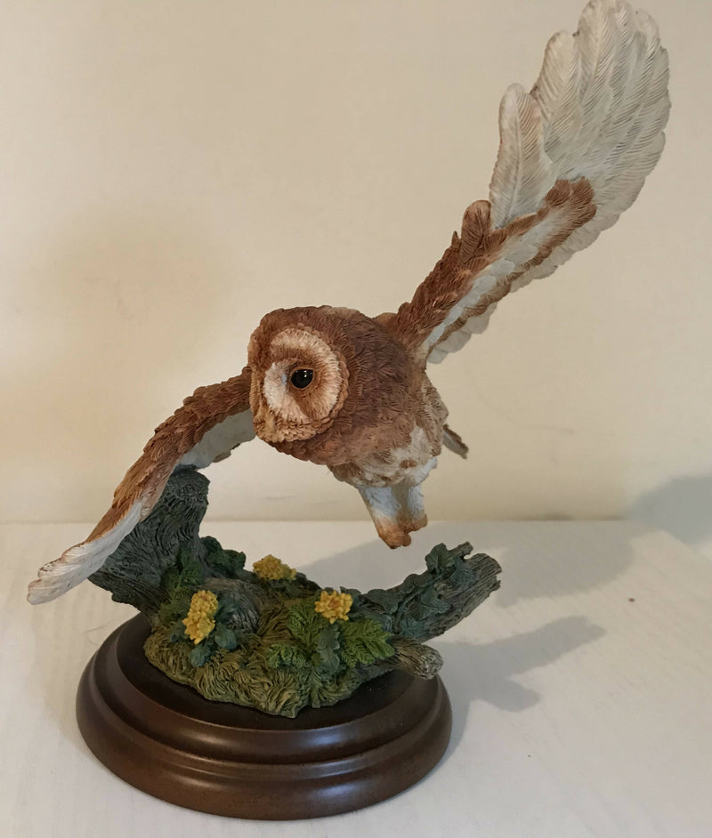 Country Artists Tawny Owl In Flight
