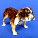 Royal Doulton Dog - Bulldog HN1047