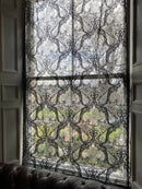 Katia toile black pure Cotton lace Curtain Panelling to finish 51”/100”