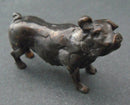 Pig - bronze sculpture by Edward Waites
