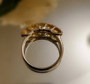 New Yellow Sapphire and Natural Cambodian Zircon Ring (Size T)