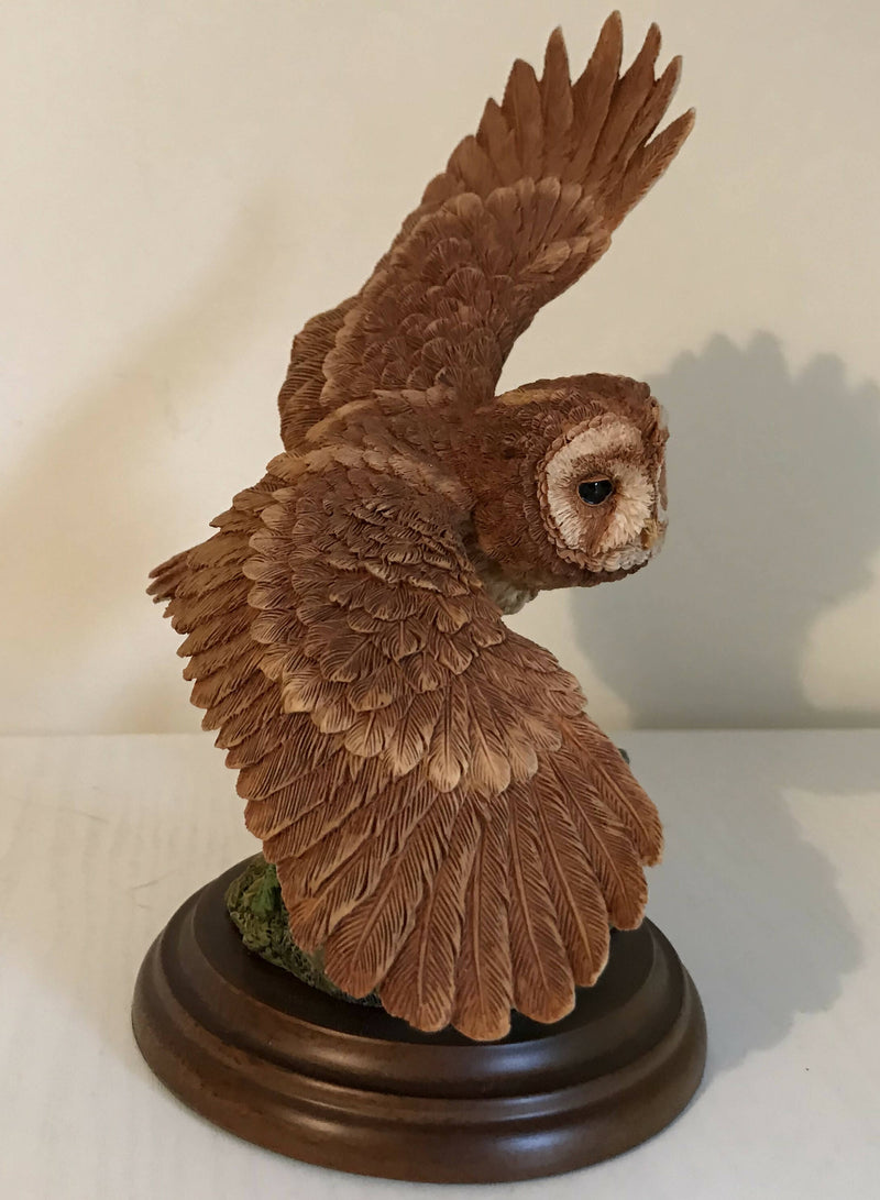 Country Artists Tawny Owl In Flight