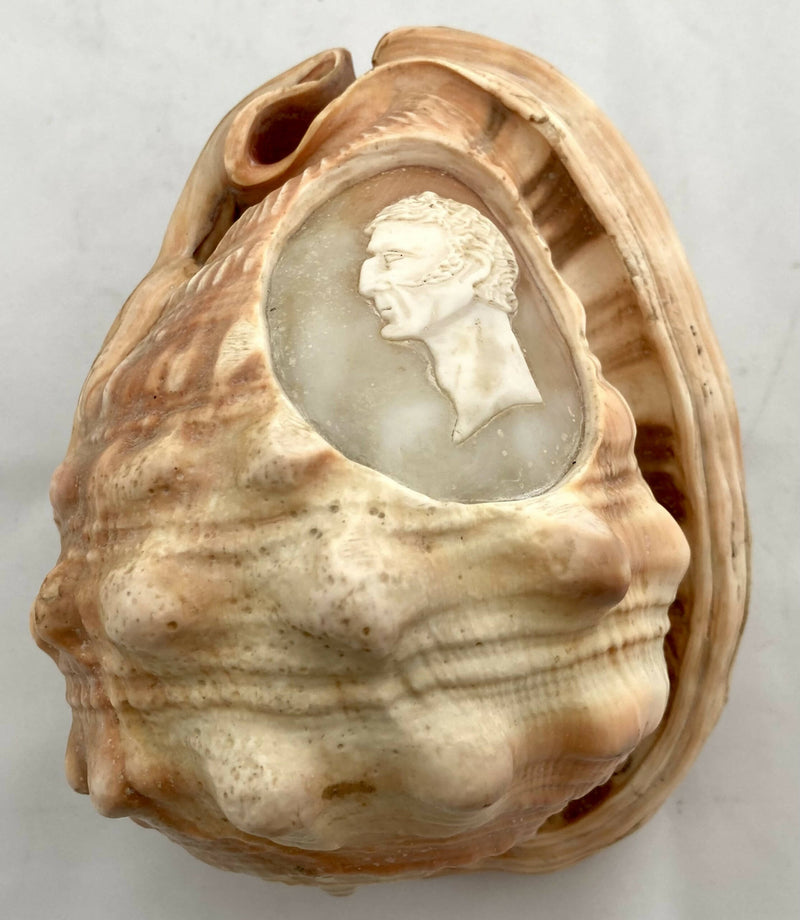 Victorian Large Conch Shell Cameo of The Duke of Wellington.