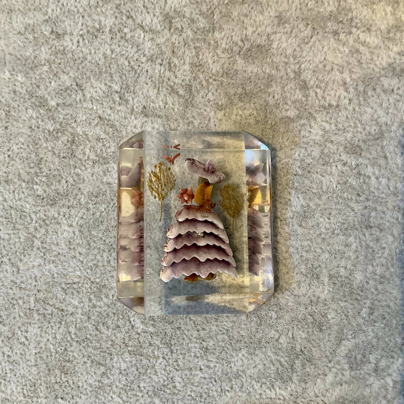 1950’s lucite brooch