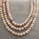 New 18" Multi Colour Freshwater Pearl Silver Necklace