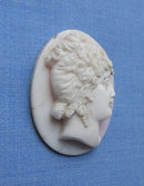 Unmounted Shell Cameo/Head Profile Classical Lady