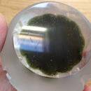 Caithness limited edition 'Seabase' paperweight