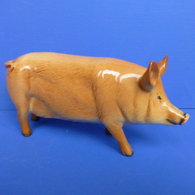 Beswick Tamworth Pig Model No G215