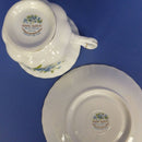 Royal Albert Flower Of The Month Teacup and Saucer - July