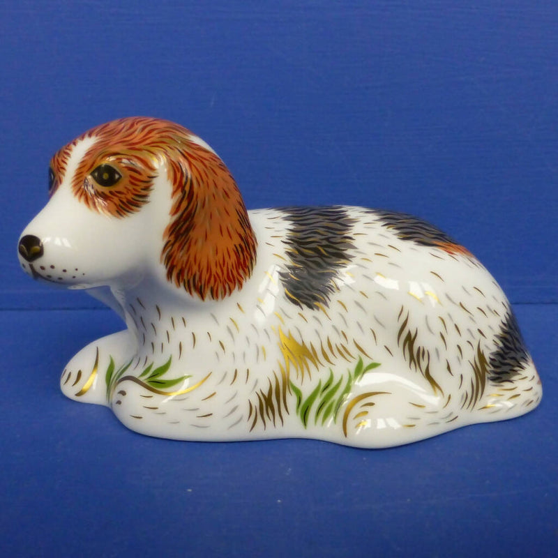 Royal Crown Derby Paperweight - Belle Dog