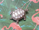 Tortoise Brooch Silver Mother of Pearl Marcasite Pin Pendant