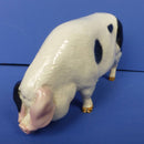 Royal Doulton Gloucester Old Spot Pig DA230 (Boxed)