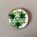 1950's lucite Whitbread Hop Festival brooch