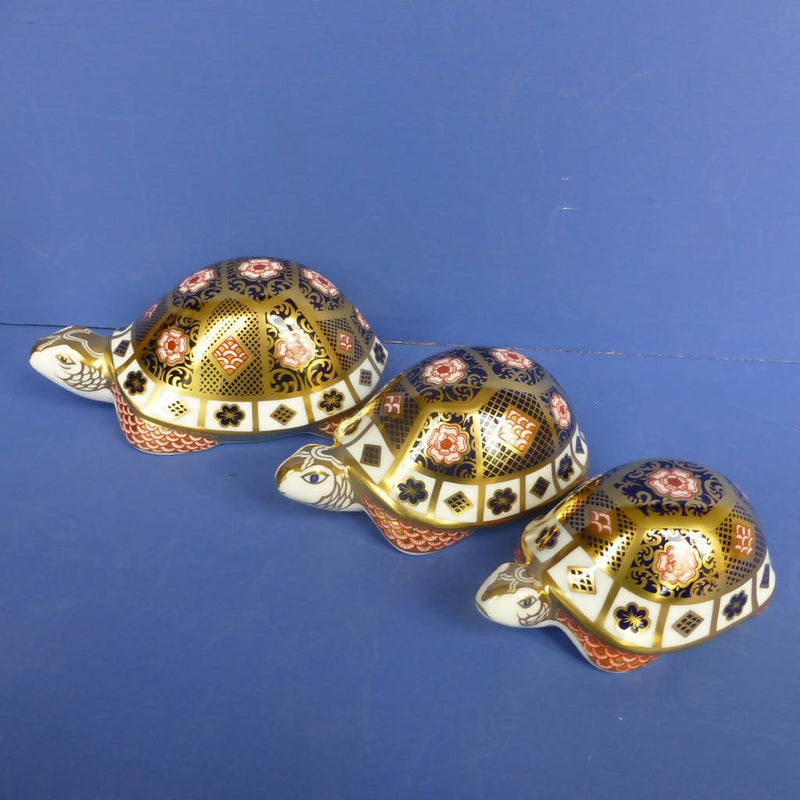 Royal Crown Derby Limited Edition Paperweights Yorkshire Rose Tortoise Family (Boxed)