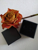 New Tanzanite & Zircon Rhodium Overlay 925 Sterling Silver - Size N