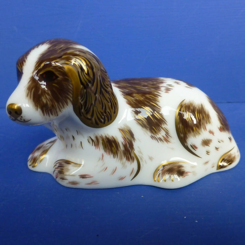 oyal Crown Derby Paperweight- Scruff Dog (Boxed)