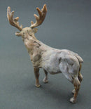 Edward Waites Sculpture, Bronze Stag