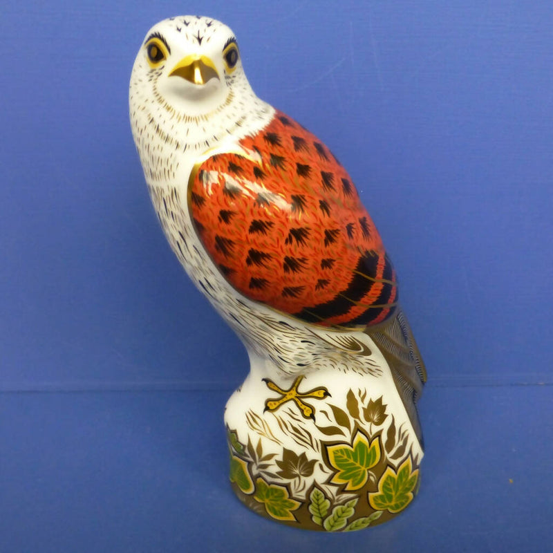 Royal Crown Derby Paperweight - Kestrel