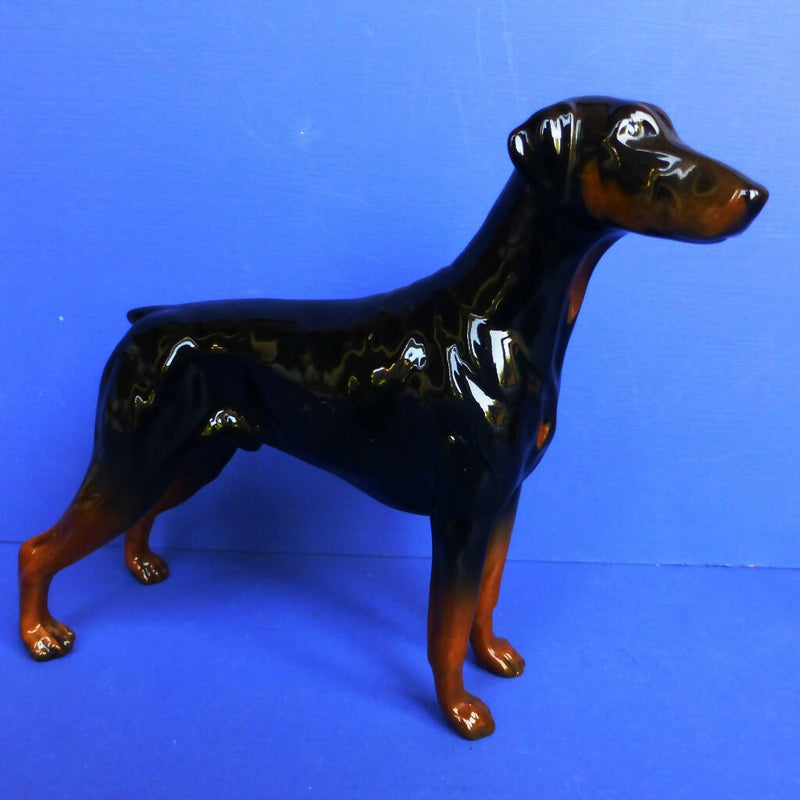 Royal Doulton Doberman Dog Model No DA105