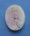 Unmounted Shell Cameo/Head Profile Classical Lady