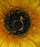 New Extremely Rare Size AAA Uruguay Citrine Ring - N/O