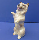 Royal Doulton Dog - Cairn Terrier Begging HN2589