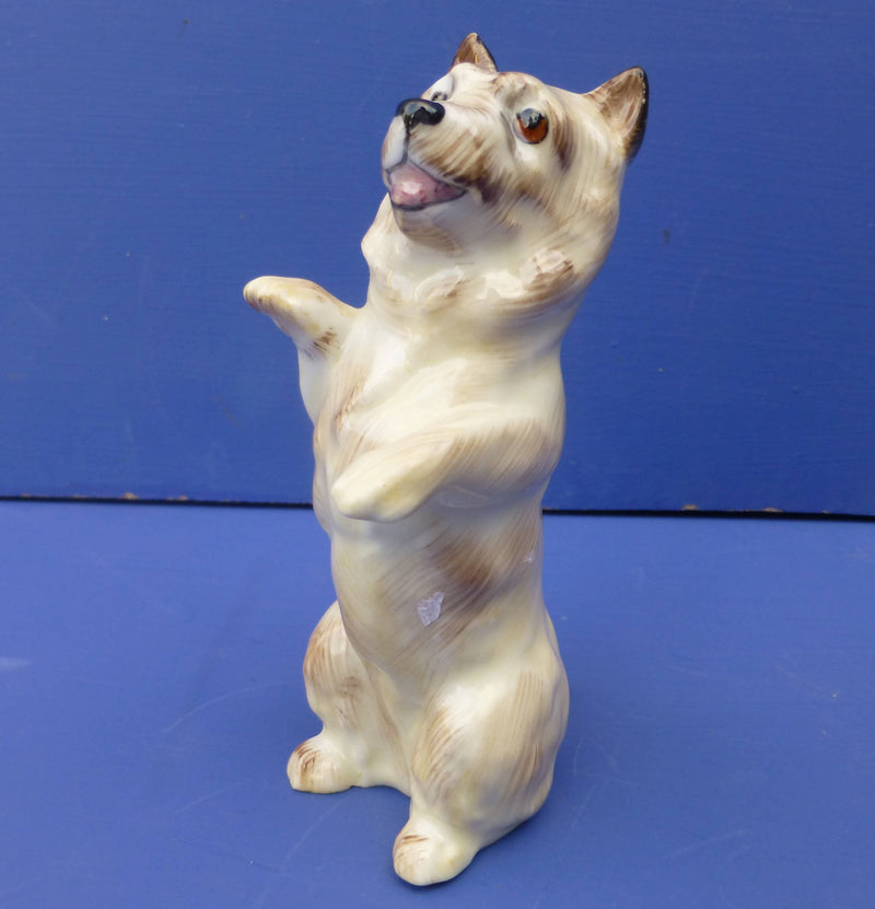 Royal Doulton Dog - Cairn Terrier Begging HN2589