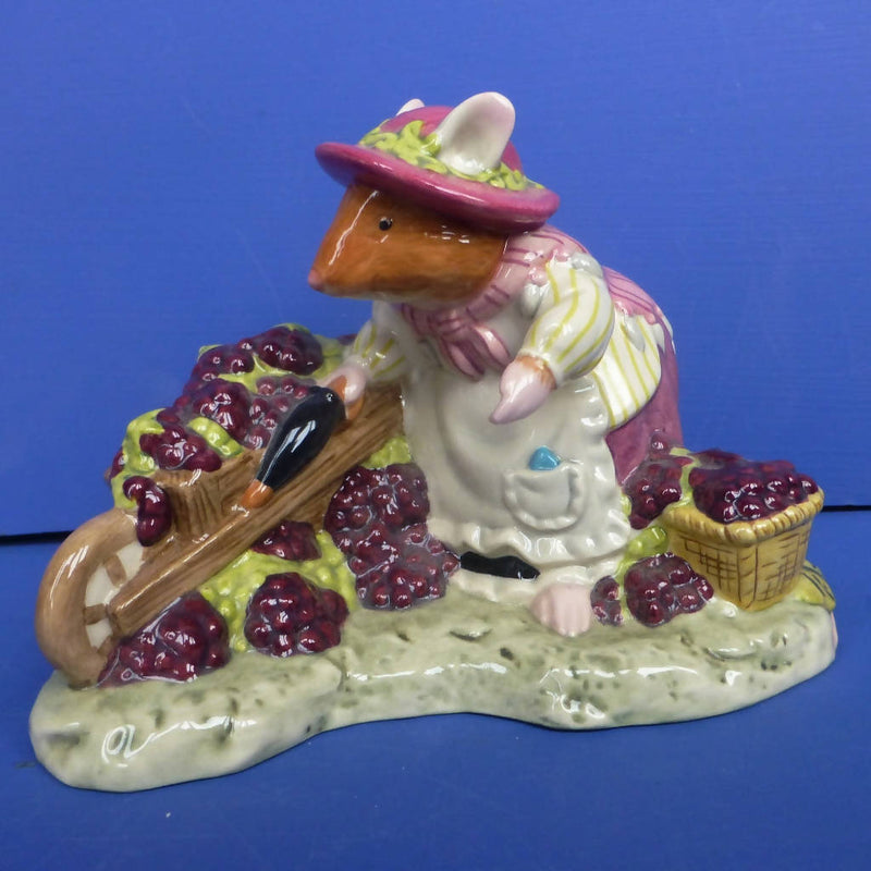 Royal Doulton Brambly Hedge Figurine Old Mrs Eyebright DBH62