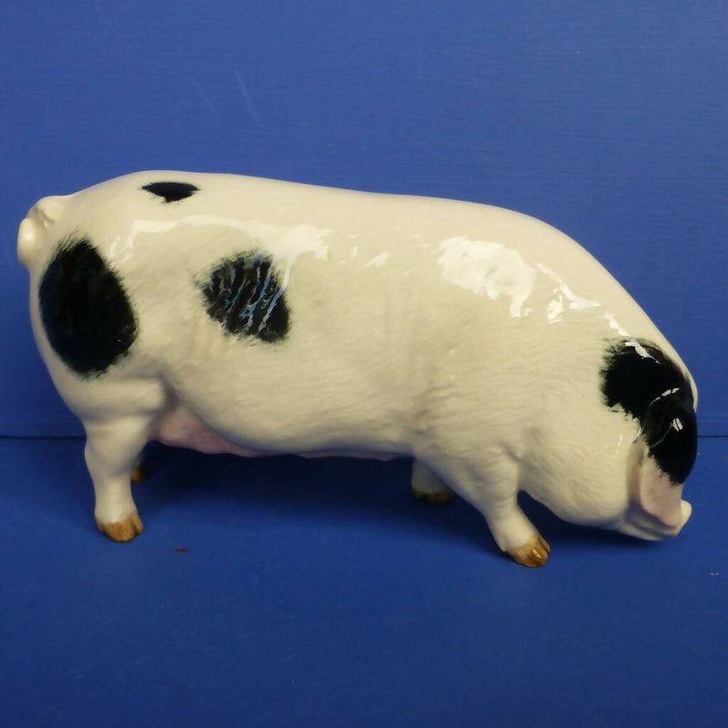 Beswick Gloucester Old Spot Pig Model No G230