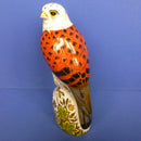 Royal Crown Derby Paperweight - Kestrel