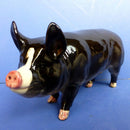 Beswick Rare Breeds Berkshire Boar Model No 4118