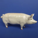 Beswick Pig Boar Ch. "Wall Champion Boy" Model No 1453A