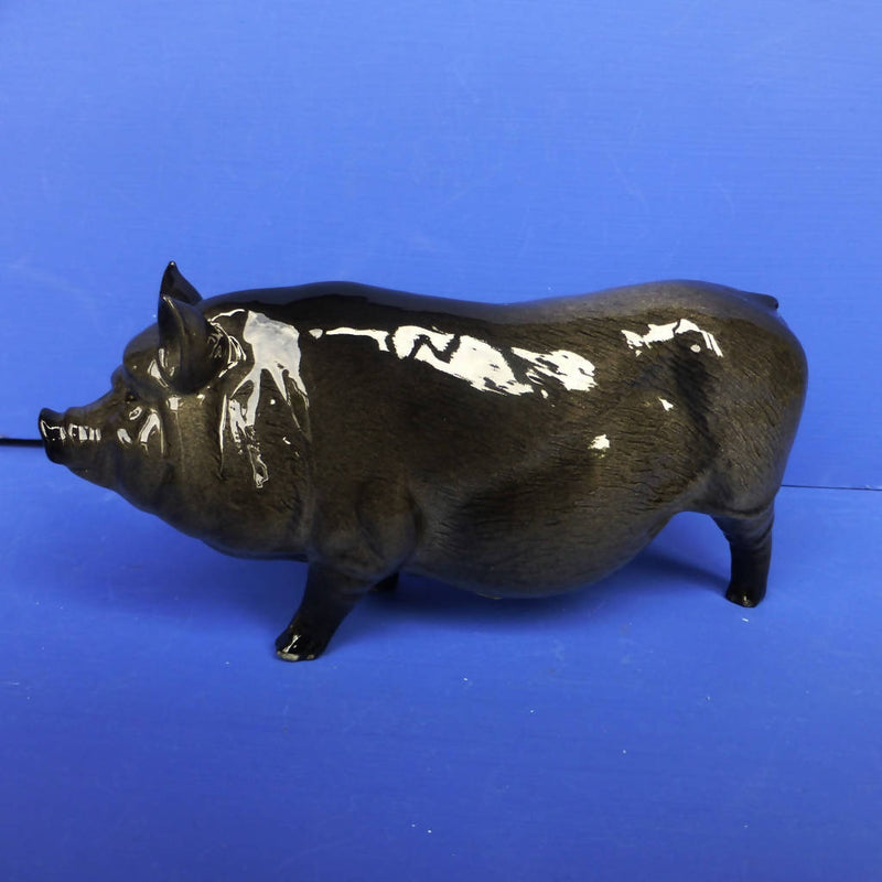 Royal Doulton Vietnamese Pot-Bellied Pig DA189