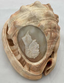 Victorian Large Conch Shell Cameo of The Duke of Wellington.