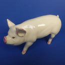 Beswick Rare Breeds Middlewhite Boar Model No 4117