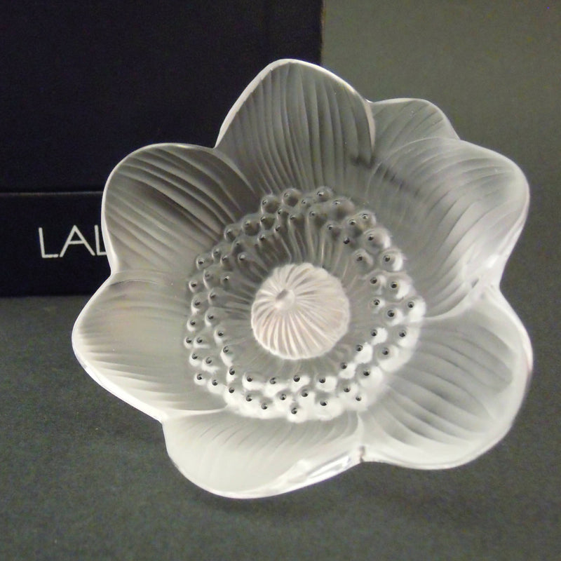 New Lalique: "Anemone" paperweight/sculpture